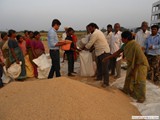 Free supply of paddy to poor village people by our Vice-Chairman